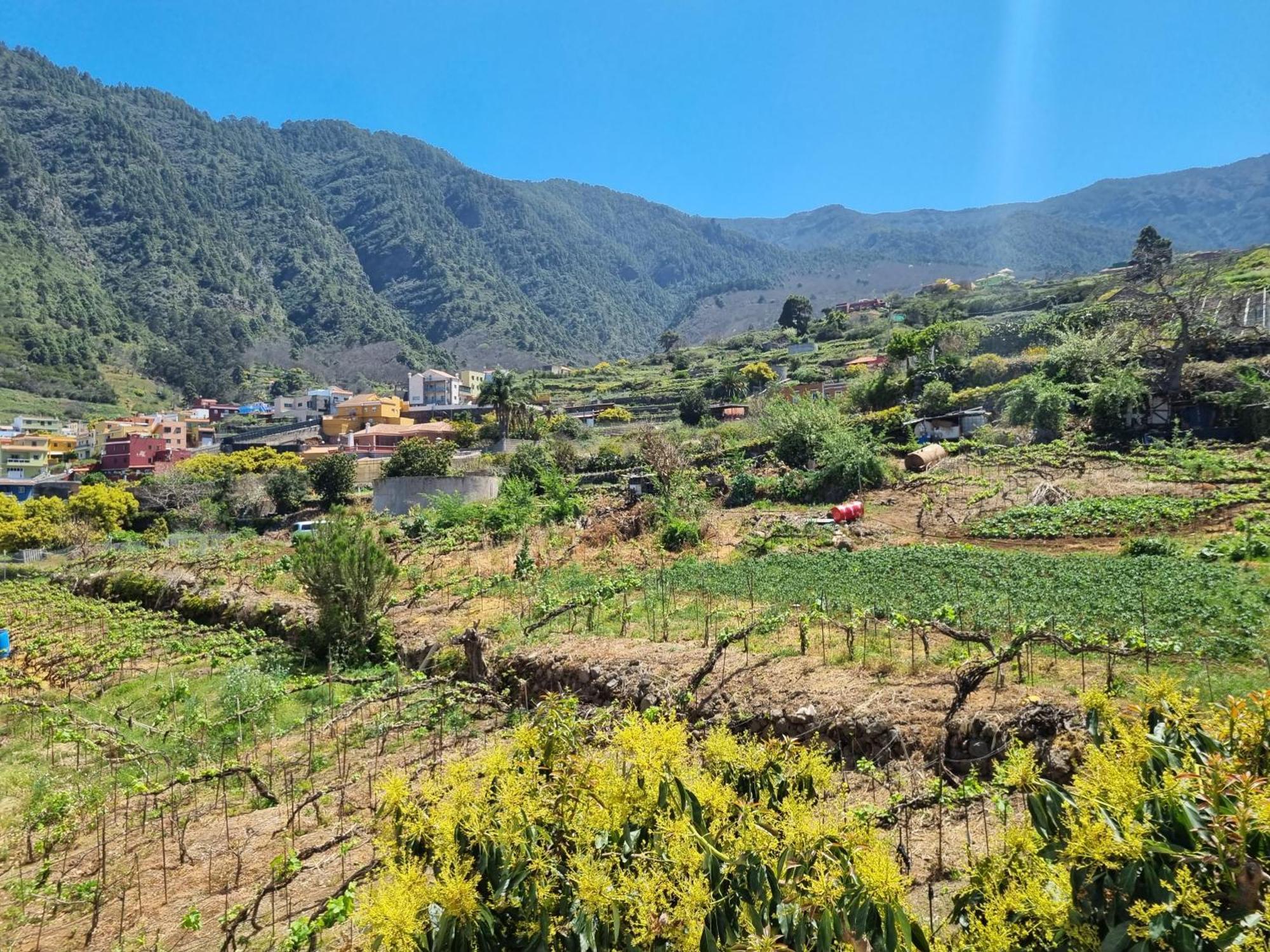 Vivienda Vacacional Ca Na Paula La Orotava Exterior foto